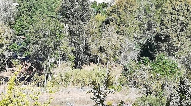 Granada - Vélez de Benaudalla - 3100m2