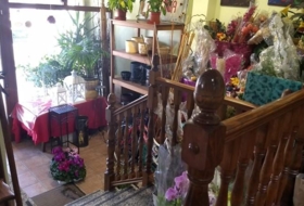 Foto 8