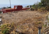 Casa de camp amb terreny en venda a la España, Santa Cruz de La Palma, ref.: TR134962 foto