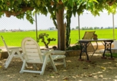 Chalet independiente con terreno en venta en la España, Sant Jaume d'Enveja, ref: TR264887 foto