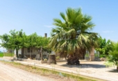 Chalet independiente con terreno en venta en la España, Sant Jaume d'Enveja, ref: TR264887 foto