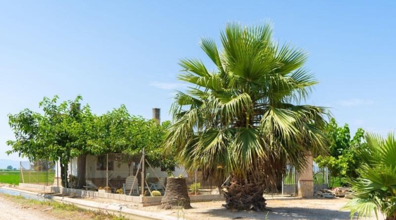 Tarragona - Sant Jaume d'Enveja - 8391m2