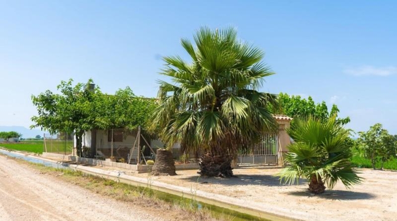 Tarragona - Sant Jaume d'Enveja - 8391m2