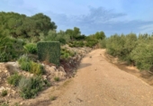Xalet independent amb terreny en venda a la España, Tortosa, ref.: TR264883 foto