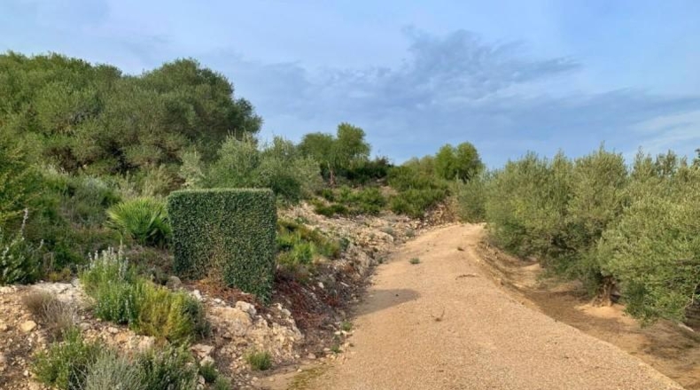 Tarragona - Tortosa - 10311m2