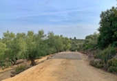 Xalet independent amb terreny en venda a la España, Tortosa, ref.: TR264883 foto