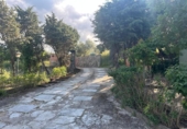 Casa de campo con terreno en venta en la España, Nuño Gómez, ref: TR320041 foto
