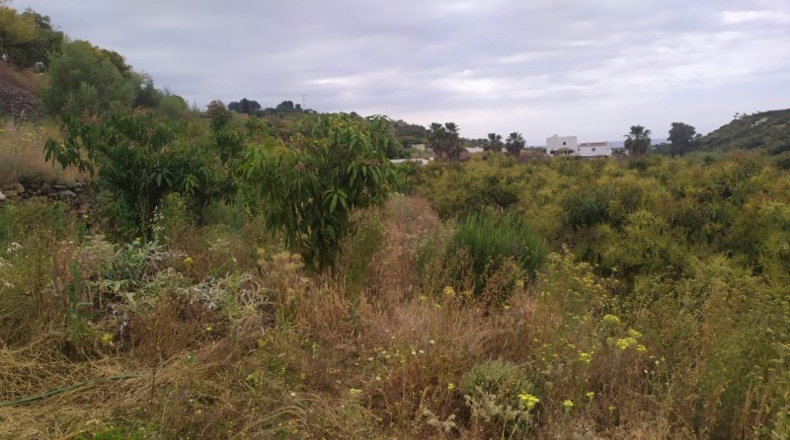 Málaga - Frigiliana - 1696m2