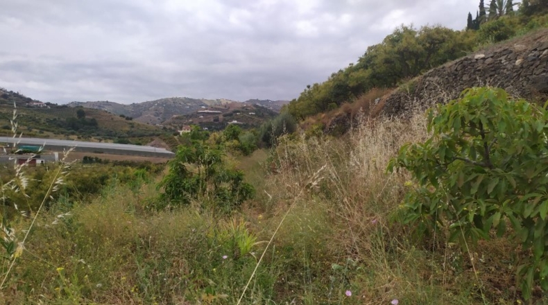 Málaga - Frigiliana - 1696m2