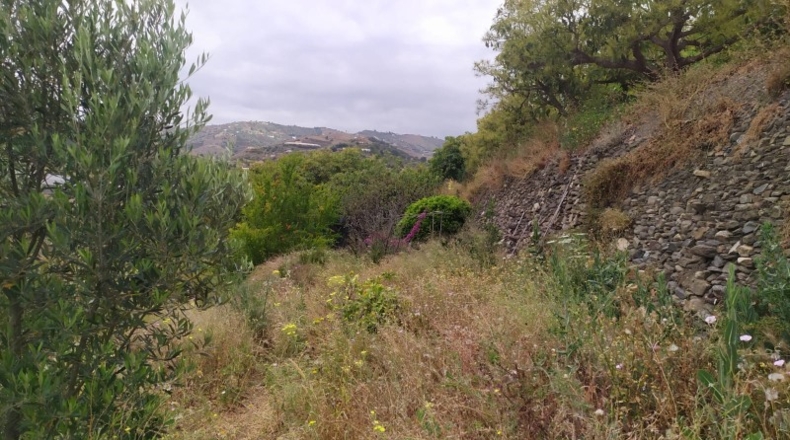 Málaga - Frigiliana - 1696m2