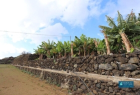 Mazo 4887&nbsp;m² 