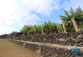 Non-developable land for sale on España, Mazo, ref: TR247069 photo