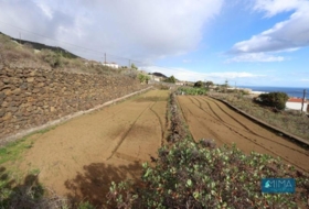 Mazo 4887&nbsp;m² 