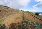 Non-developable land for sale on España, Mazo, ref: TR247069 photo