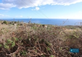 Non-developable land for sale on España, Mazo, ref: TR247069 photo