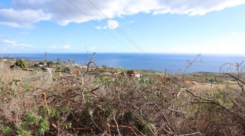 Santa Cruz de Tenerife - Monte de Pueblo - 4887m2