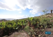 Non-developable land for sale on España, Mazo, ref: TR247069 photo