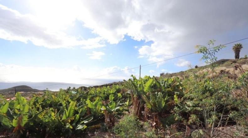Santa Cruz de Tenerife - Monte de Pueblo - 4887m2