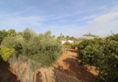 Casa de camp amb terreny en venda a la España, Jerez de la Frontera, ref.: TR340331 foto