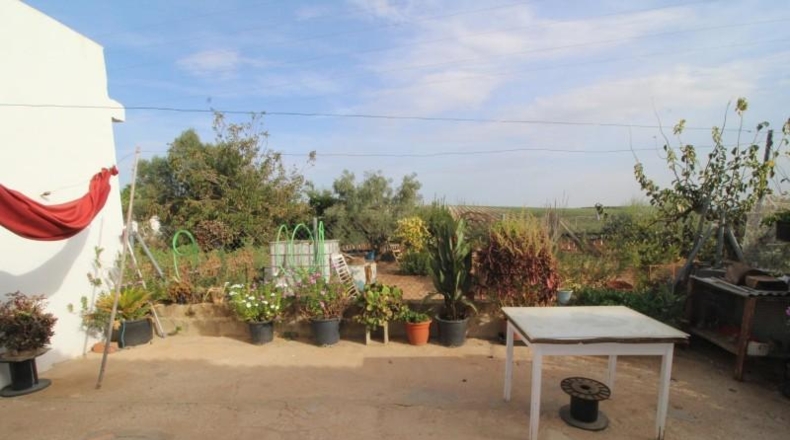 Cadiz - Jerez de la Frontera - 2468m2