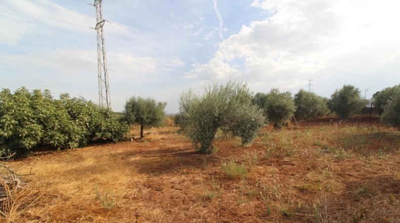 Cadiz - Jerez de la Frontera - 2468m2