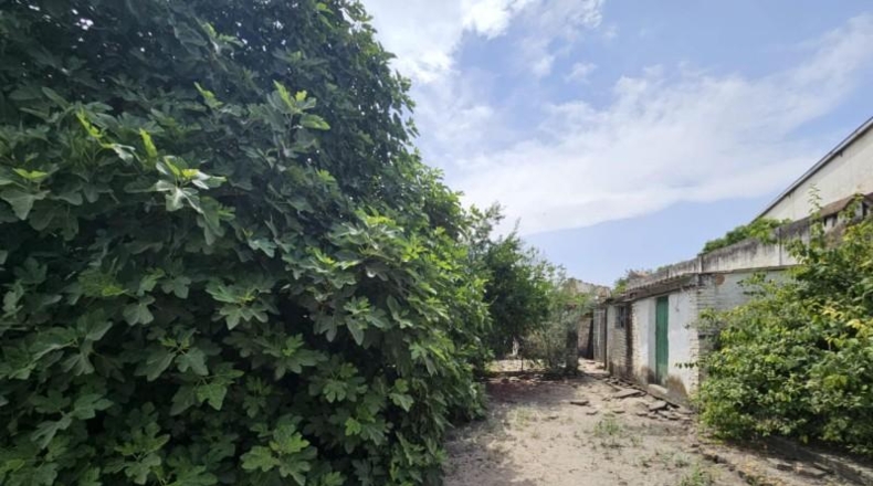 Córdoba - Benamejí - 891m2