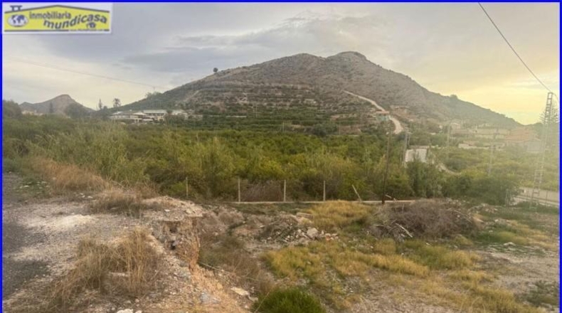 Murcia - Puerto Lumbreras - 1406m2