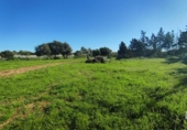 Terreny no urbanitzable en venda a la España, Chiclana de la Frontera, ref.: TR394690 foto