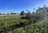 Terreny no urbanitzable en venda a la España, Chiclana de la Frontera, ref.: TR394690 foto