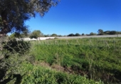 Terreny no urbanitzable en venda a la España, Chiclana de la Frontera, ref.: TR394690 foto