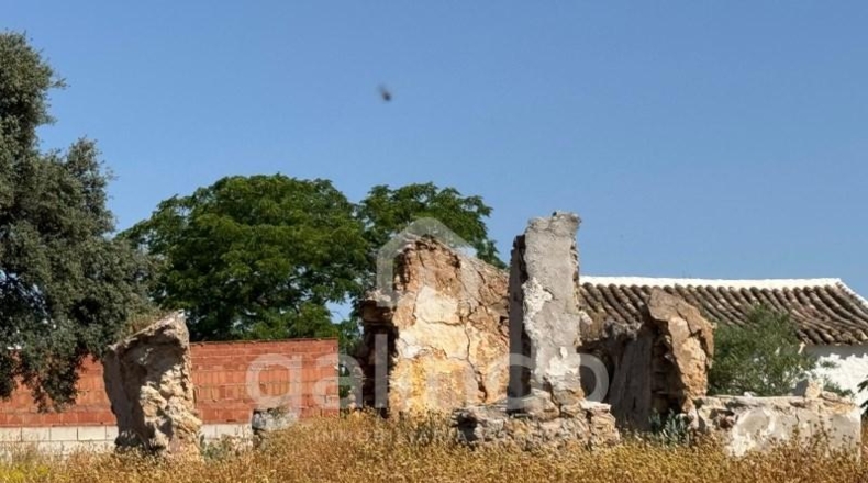 Sevilla - Morón de la Frontera - 126653m2