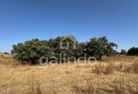 Morón de la Frontera 126653&nbsp;m² 