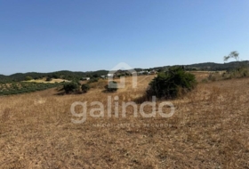 Morón de la Frontera 126653&nbsp;m² 