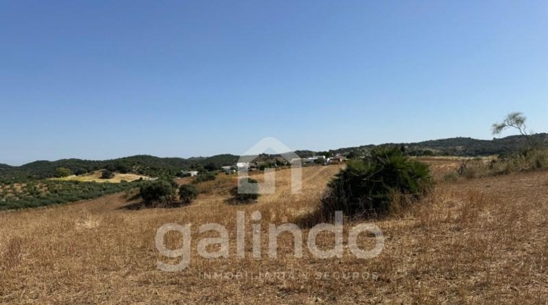 Sevilla - Morón de la Frontera - 126653m2