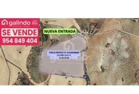 Morón de la Frontera 126653&nbsp;m² 