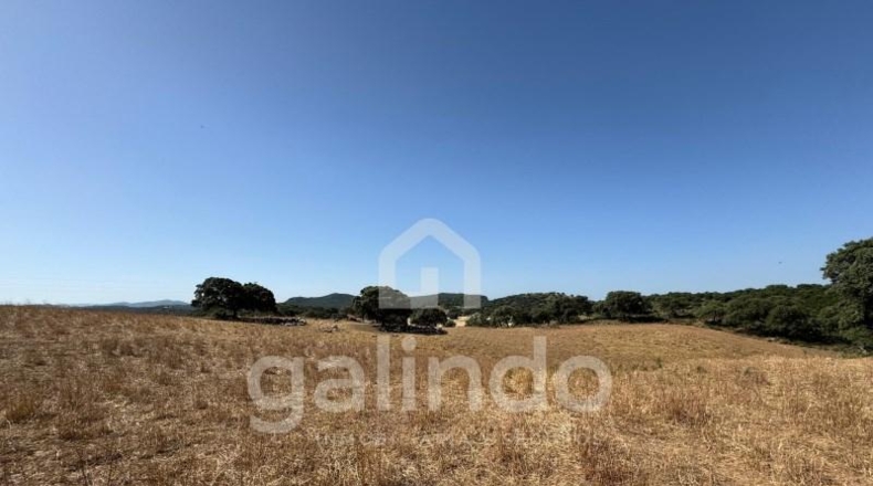 Sevilla - Morón de la Frontera - 126653m2