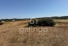 Morón de la Frontera 126653&nbsp;m² 