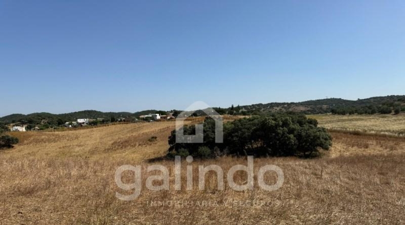 Sevilla - Morón de la Frontera - 126653m2