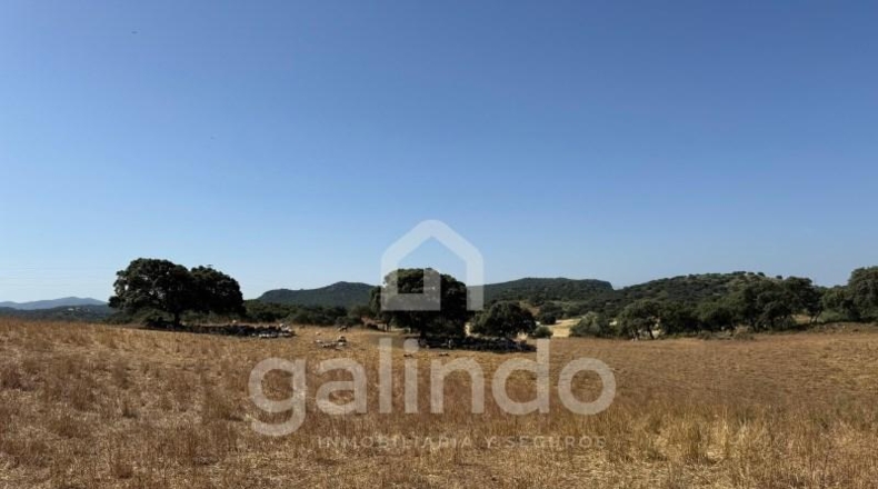 Sevilla - Morón de la Frontera - 126653m2