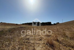 Morón de la Frontera 126653&nbsp;m² 
