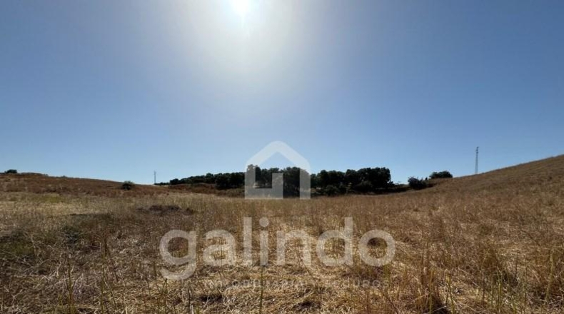 Sevilla - Morón de la Frontera - 126653m2
