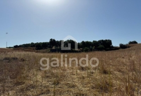 Morón de la Frontera 126653&nbsp;m² 