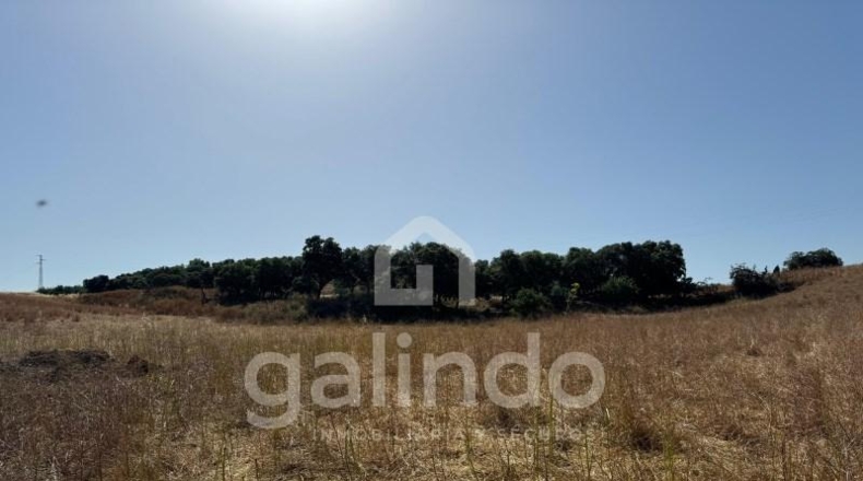 Sevilla - Morón de la Frontera - 126653m2
