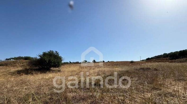 Sevilla - Morón de la Frontera - 126653m2