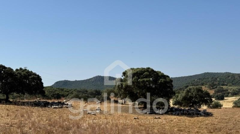 Sevilla - Morón de la Frontera - 126653m2