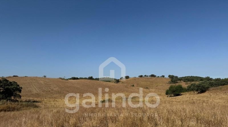 Sevilla - Morón de la Frontera - 126653m2