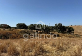 Morón de la Frontera 126653&nbsp;m² 