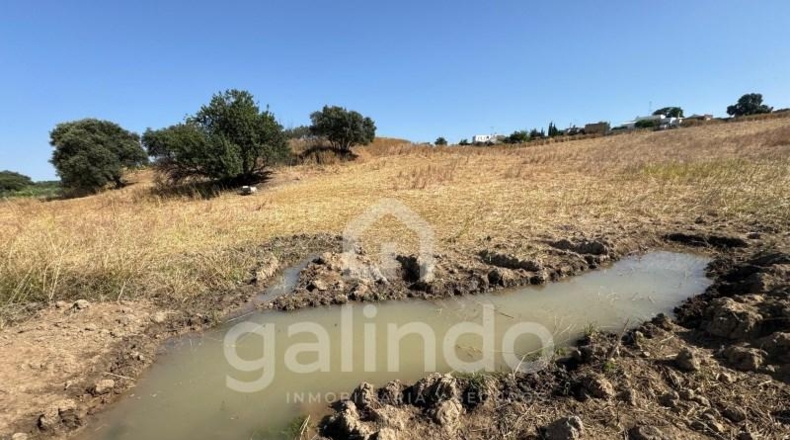 Sevilla - Morón de la Frontera - 126653m2