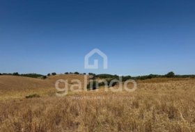 Morón de la Frontera 126653&nbsp;m² 