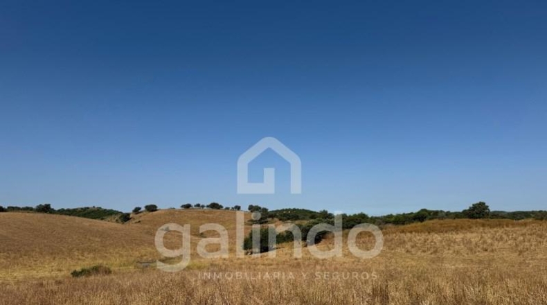 Sevilla - Morón de la Frontera - 126653m2